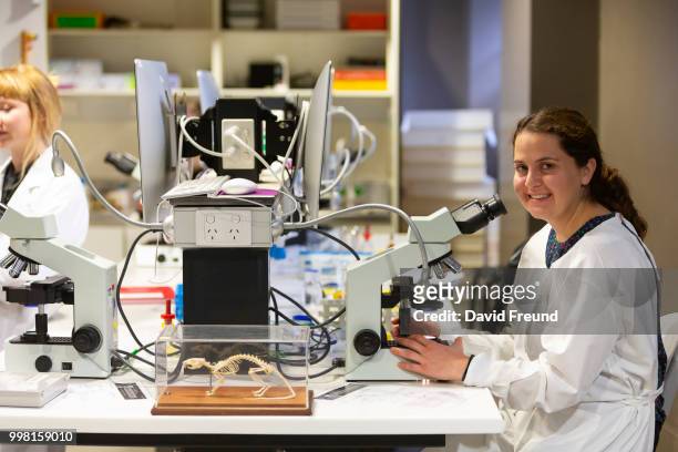 science researcher with a microscope - david freund stock pictures, royalty-free photos & images