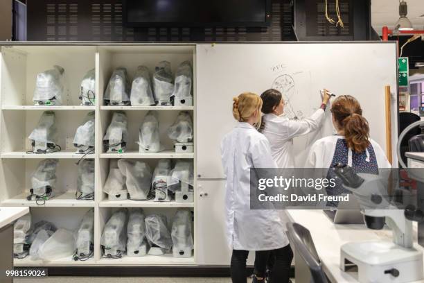 female science researchers discussing work - freund stock pictures, royalty-free photos & images