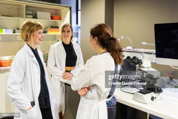 female science researchers discussing work - freund stock pictures, royalty-free photos & images