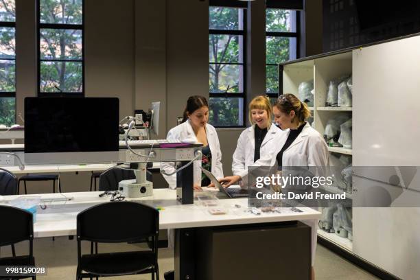 female science researchers discussing work - david freund stock pictures, royalty-free photos & images