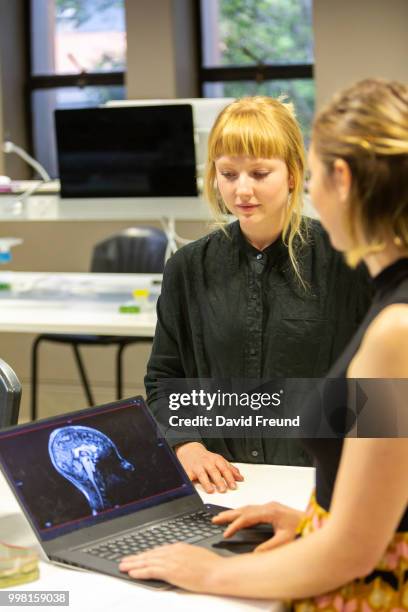 female science researchers discussing work - david freund stockfoto's en -beelden