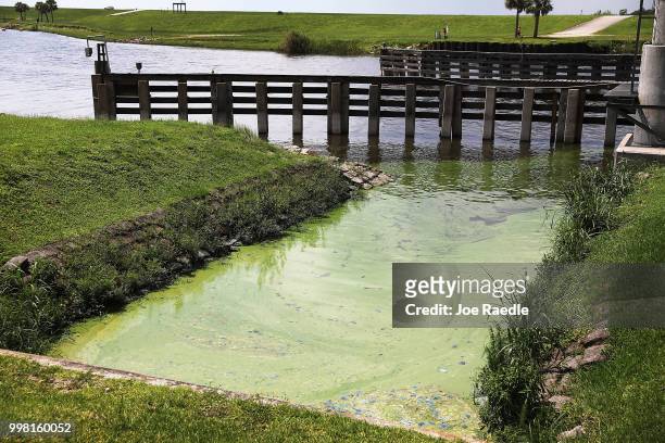 Green algae blooms are seen near the Port Mayaca Lock and Dam on Lake Okeechobee on July 13, 2018 in Port Mayaca, Florida. Water releases which carry...