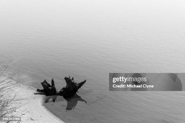 coming ashore - ashore stock pictures, royalty-free photos & images