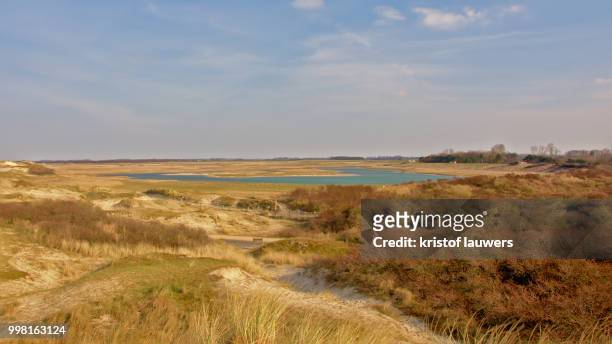 dunes and pond at the zwin, belgium - het zwin stockfoto's en -beelden