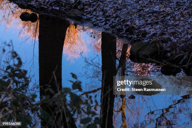 dark shadows in the stream - steen stock-fotos und bilder