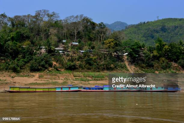boats on the mekong river - almut albrecht bildbanksfoton och bilder