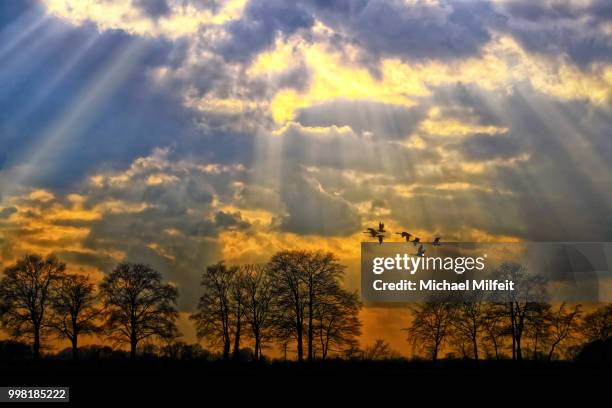 wolken mit lichtstrahlen - wolken stock pictures, royalty-free photos & images