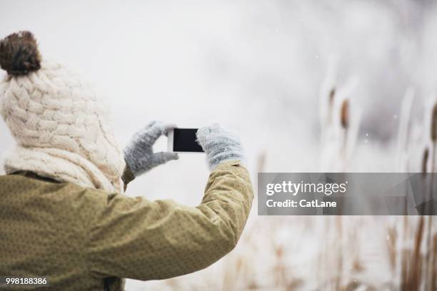 mujer tomar fotos con el teléfono móvil en tiempo nevoso - cat with red hat fotografías e imágenes de stock