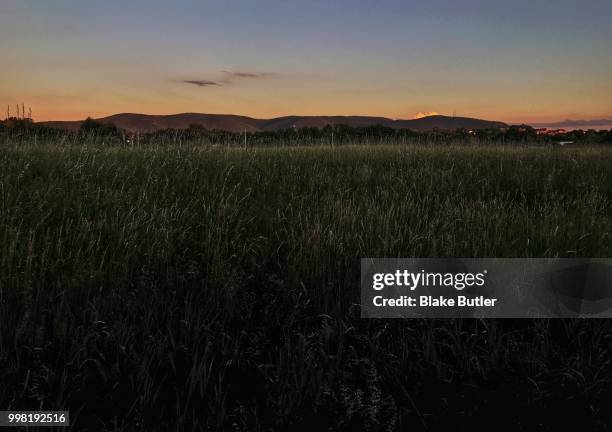 sunset behind the appalachians - blake green stock pictures, royalty-free photos & images