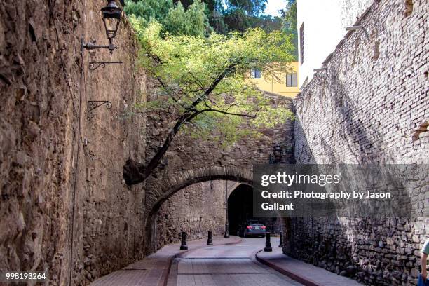 tree growing out of a wall near a tunnel road leading under guanajuato city, mexico. - guanajuato state stock pictures, royalty-free photos & images