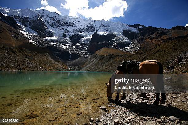 Images taken at Salkantay Lodge and Trek facility, located in the high plane of the Saraypampa area, Saraypampa, Peru, June 26, 2007. This unique and...