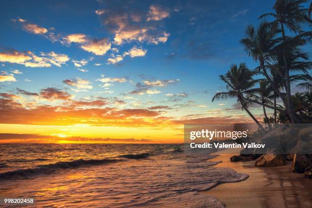 landscape of paradise tropical island beach - paradise beach stock pictures, royalty-free photos & images