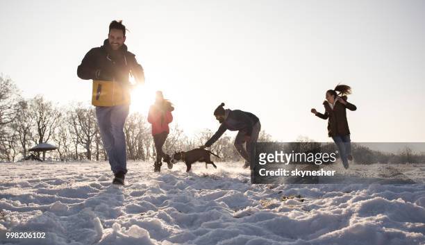 panoramablick auf der happy friends spaß mit ihrem hund im schnee. - skynesher stock-fotos und bilder