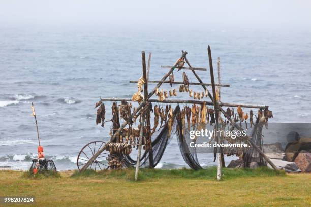 Fish Rack High Resolution 1,135 Fish Rack Stock Photos, High-Res Pictures, and Images - Getty Images