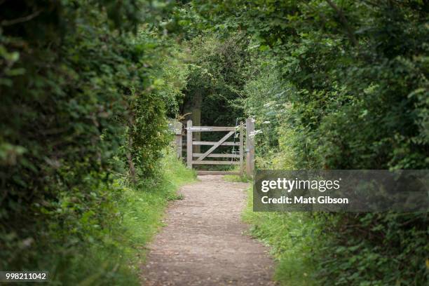 Lead Path Tree 96 Lead Wood Tree Stock Photos, High-Res Pictures, and Images - Getty ...