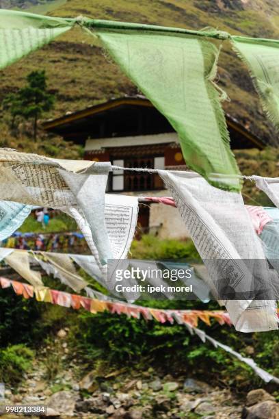 prayer flags on iron bridge of tamchog lhakhang - ipek morel stock pictures, royalty-free photos & images