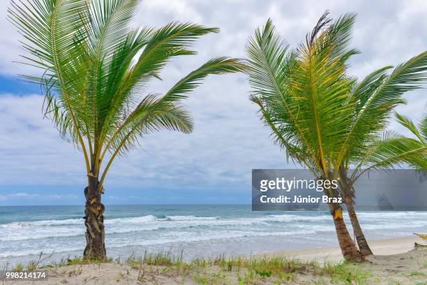 impressive paradise beach at the itacare bahia brazil - paradise beach stock pictures, royalty-free photos & images
