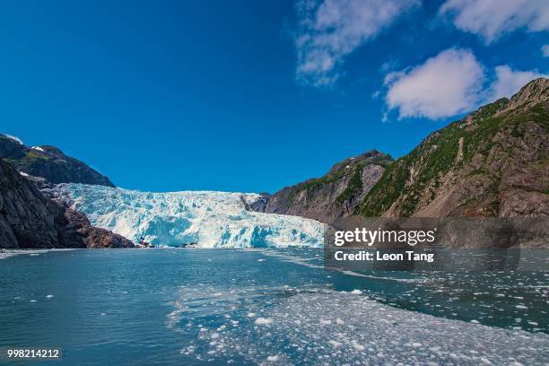 holgate glacier - holgate stock pictures, royalty-free photos & images