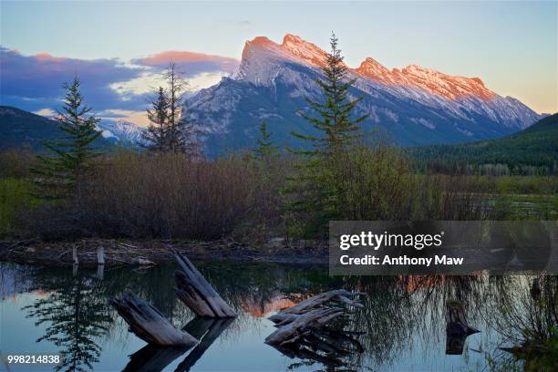 mount rundle & vermillion lake sunset light - vermillion stock pictures, royalty-free photos & images