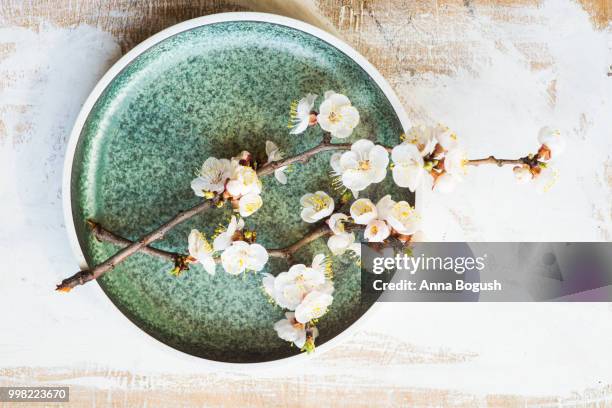 spring concept with peach blooming - rieten mat stockfoto's en -beelden
