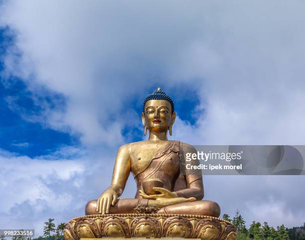 closeup view of giant buddha dordenma statue - ipek morel stock pictures, royalty-free photos & images