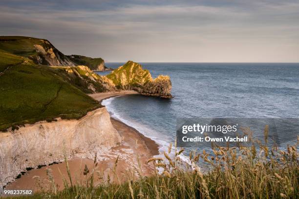 durdle door - south west coast path stock pictures, royalty-free photos & images