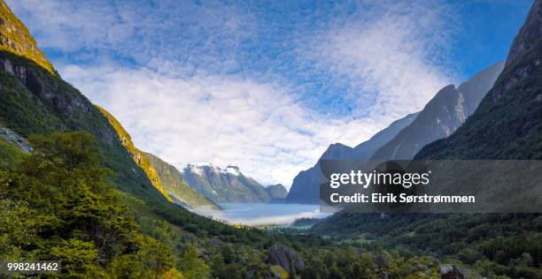 foggy morning in olden - olden foto e immagini stock