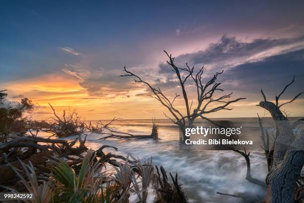 botanybaybeach - botany bay stock pictures, royalty-free photos & images