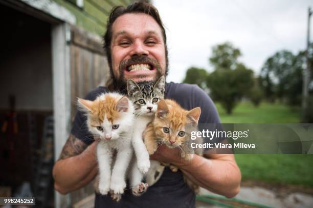 man grinning with three kittens in arms - baby cat stock pictures, royalty-free photos & images