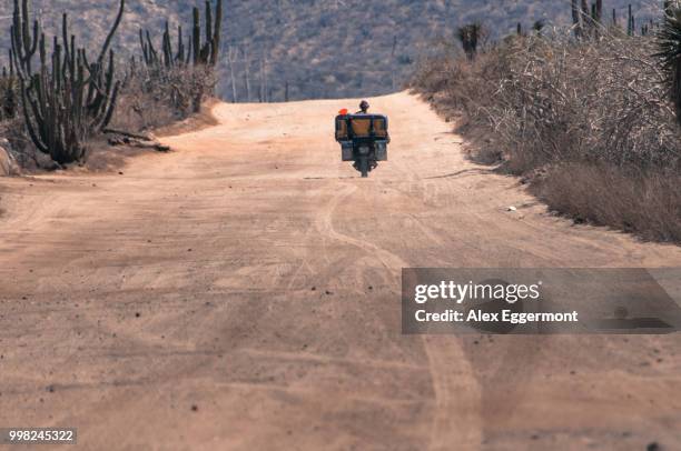 man riding motorcycle, cabo san lucas, baja california sur, mexico - cabo stock pictures, royalty-free photos & images