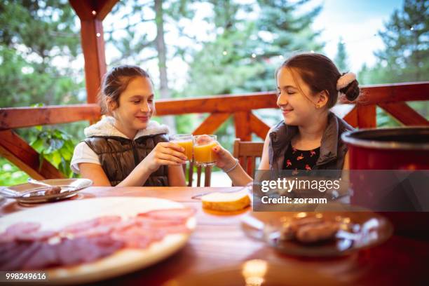 girls toasting with juice - zoranm imagens e fotografias de stock