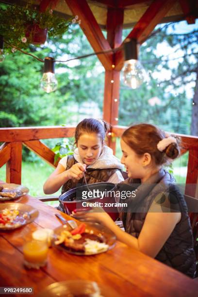 girls enjoying barbecue outdoors - zoranm imagens e fotografias de stock