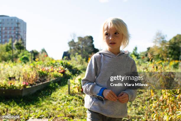 boy in allotment on sunny day - wristwatch stockfoto's en -beelden