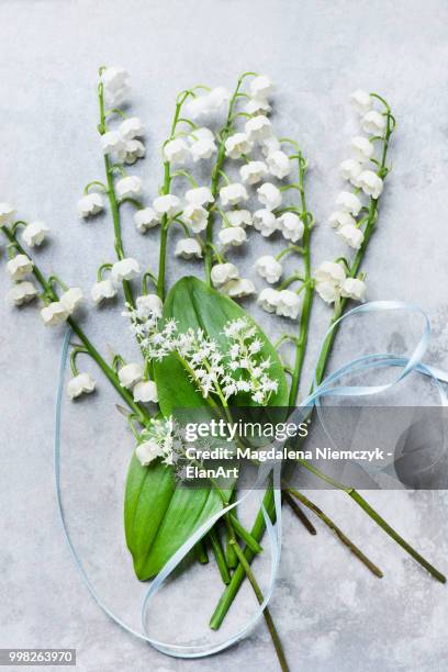 lily of the valley cut flowers, leaves and ribbon - valley of flowers stock pictures, royalty-free photos & images