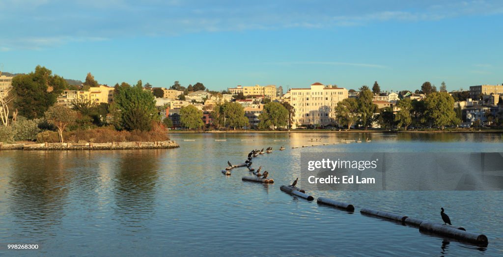 Lake Merritt