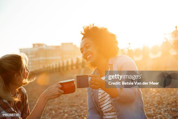 female friends making a toast, sitting on beach having a picnic. - betsie van der meer stock pictures, royalty-free photos & images