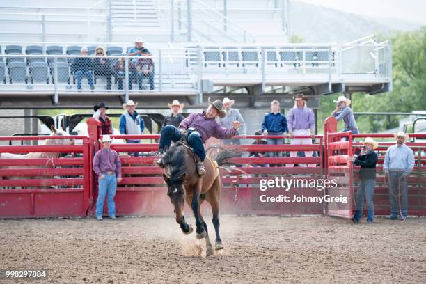 cowboy rodeo riding bucking horse in stadium - riding sports stock pictures, royalty-free photos & images