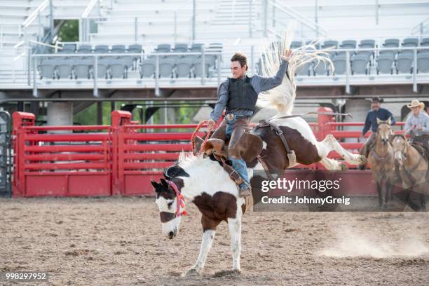 cowboy rodeo riding bucking bronco horse in western usa - bucking stock pictures, royalty-free photos & images