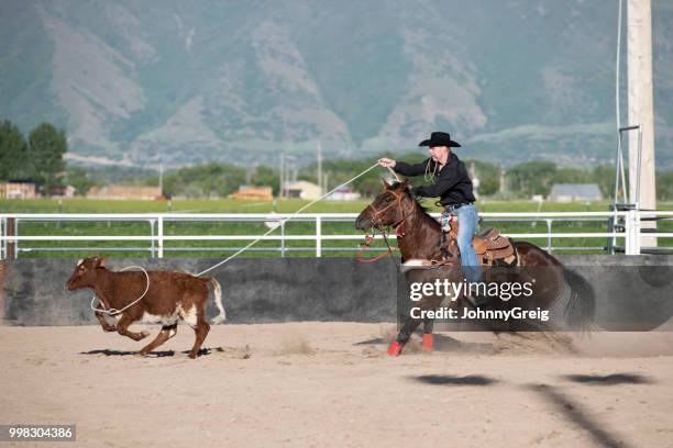 cowboy steer roping with lasso - riding sports stock pictures, royalty-free photos & images