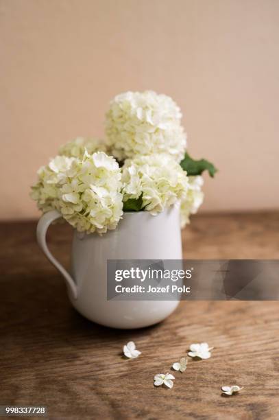 white lilac bouquet laid on wooden table. studio shot. - aubergine blanche photos et images de collection