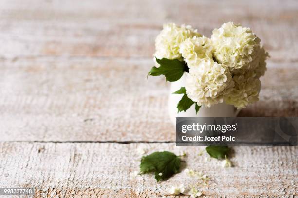 white lilac bouquet laid on wooden table. studio shot. - white lilac stock pictures, royalty-free photos & images