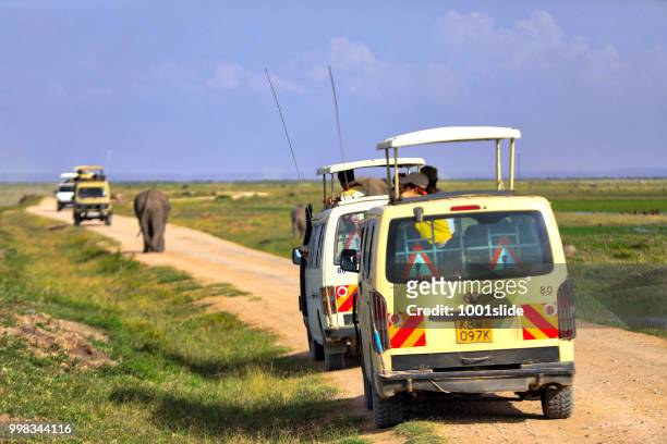 elephants and safari vehicles at amboseli national park - 1001slide stock pictures, royalty-free photos & images