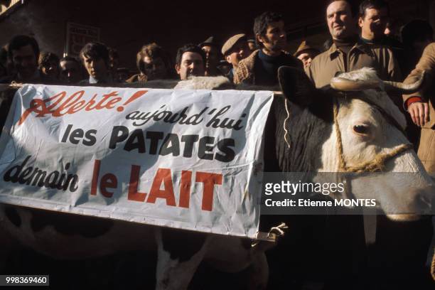 Manifestation des agriculteurs en février 1976 à Tours, France.
