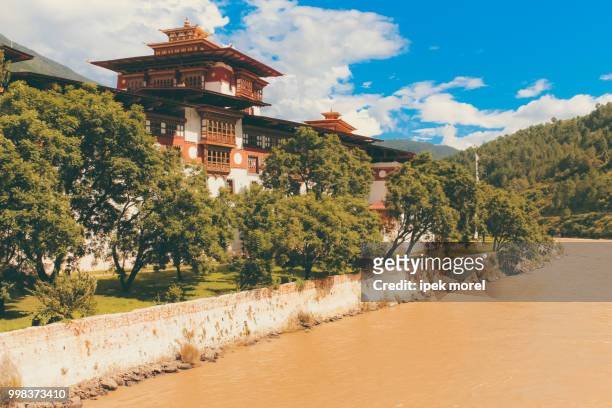 punakha dzong temple - ipek morel stock pictures, royalty-free photos & images