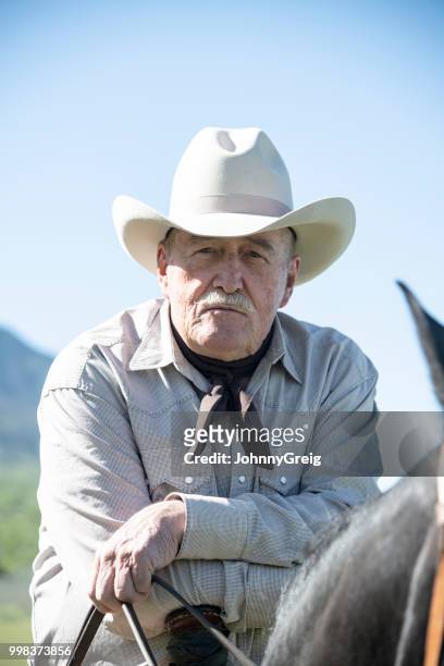 ernst senior cowboy auf pferd gerichtete kamera - johnny greig stock-fotos und bilder