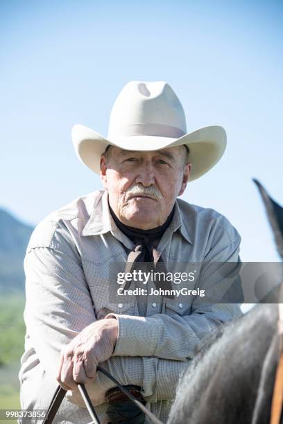 seria alto vaquero a caballo frente a cámara - johnny greig fotografías e imágenes de stock