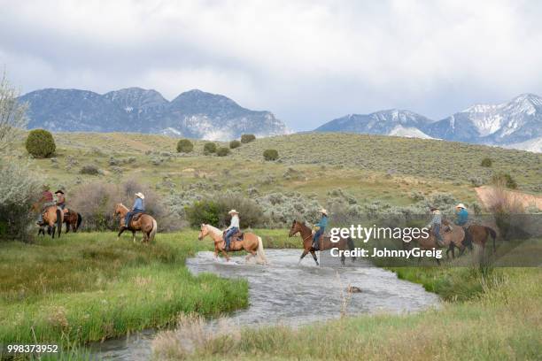 horse riders crossing creek utah usa - trail ride stock pictures, royalty-free photos & images