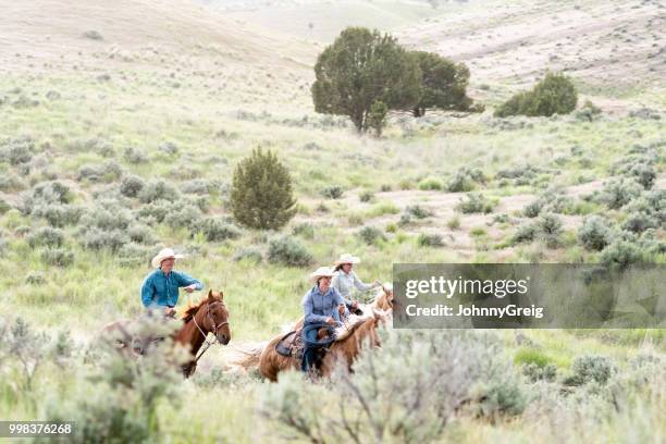 tres jinetes a caballo en el desierto - johnny greig fotografías e imágenes de stock