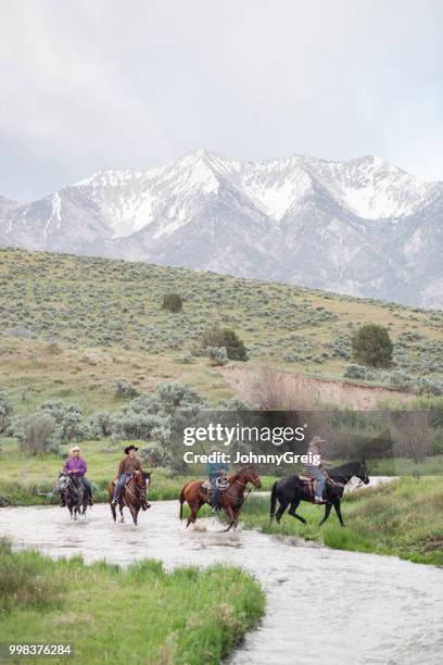 cowboys auf pferden über bach in amerikanische wildnis - portrait hobby freizeit reiten stock-fotos und bilder