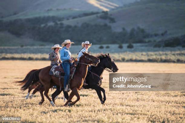 cowgirls zusammen reiten auf pferden - johnny greig stock-fotos und bilder